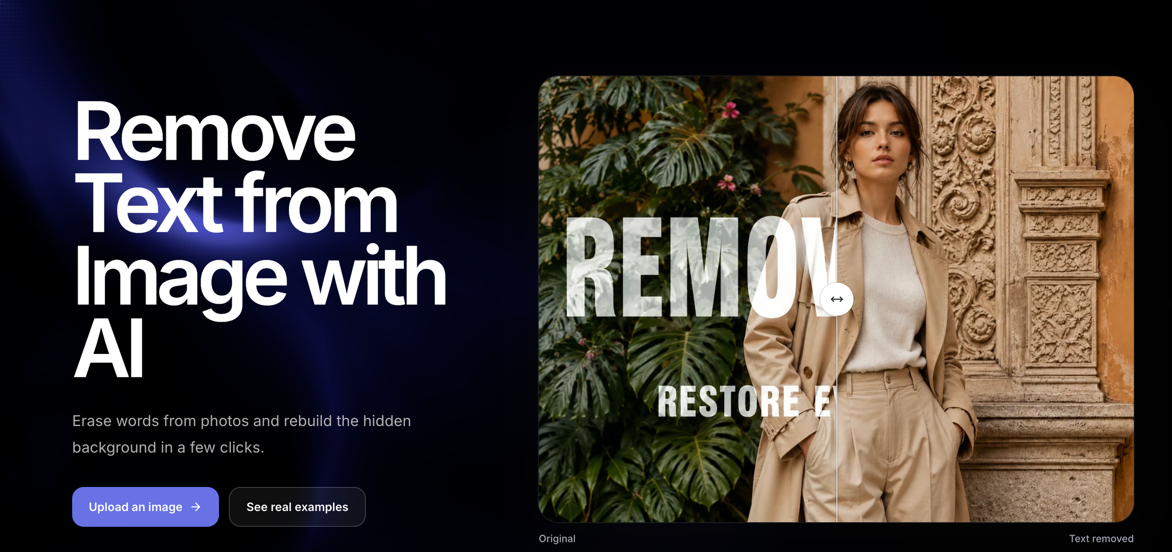 RemoveText screenshot