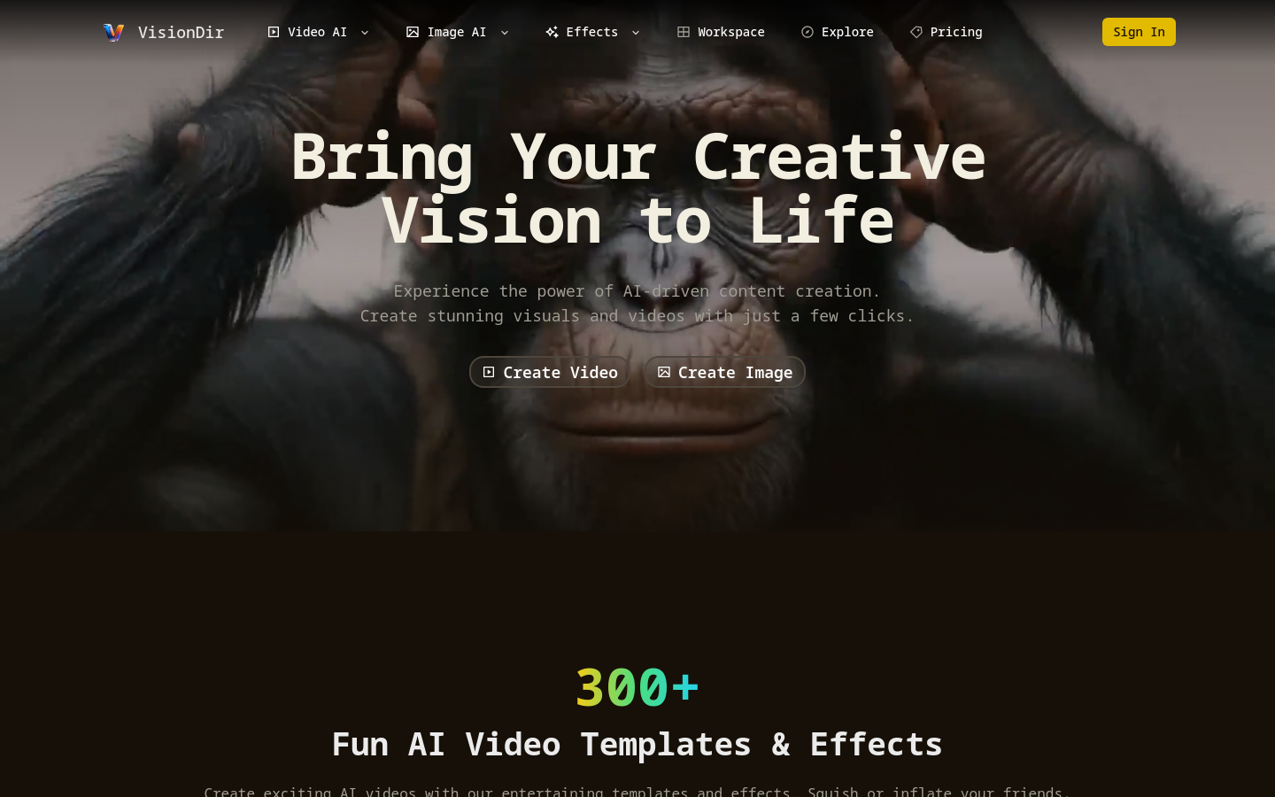 VisionDir screenshot