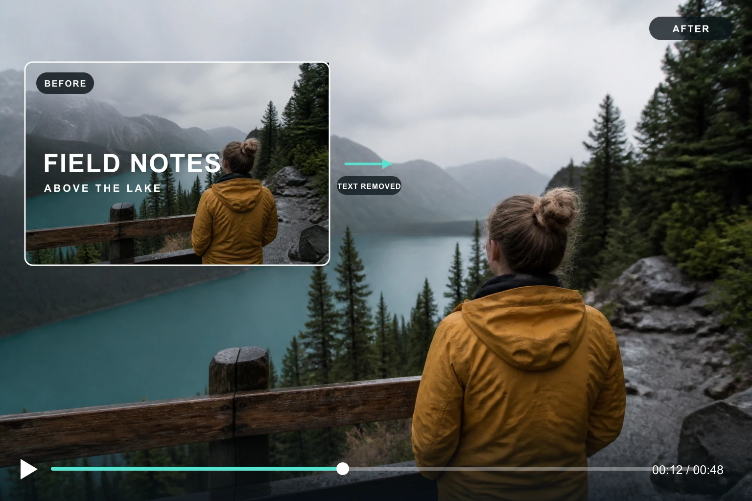 Video Text Remover screenshot