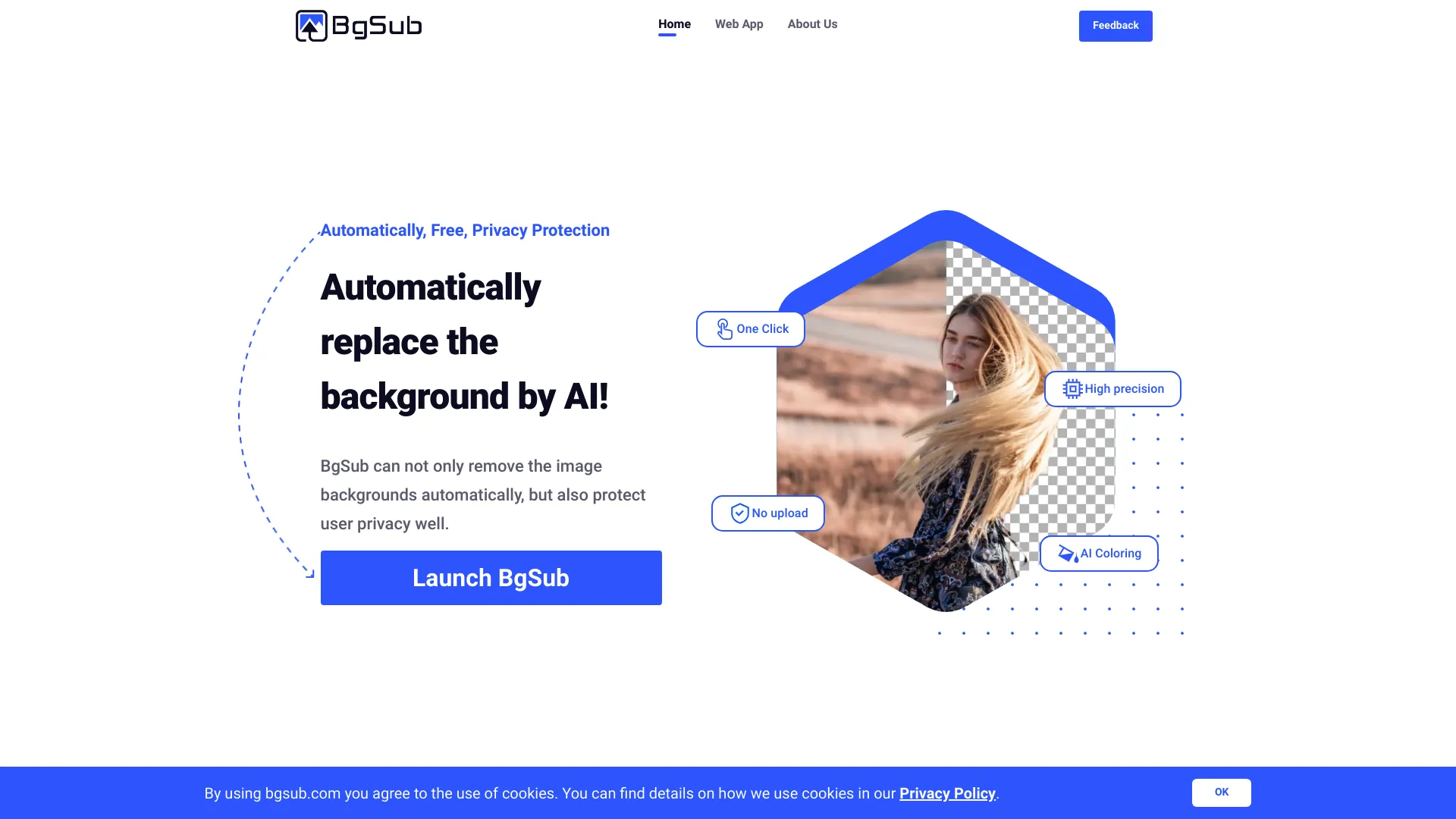 Bgsub screenshot