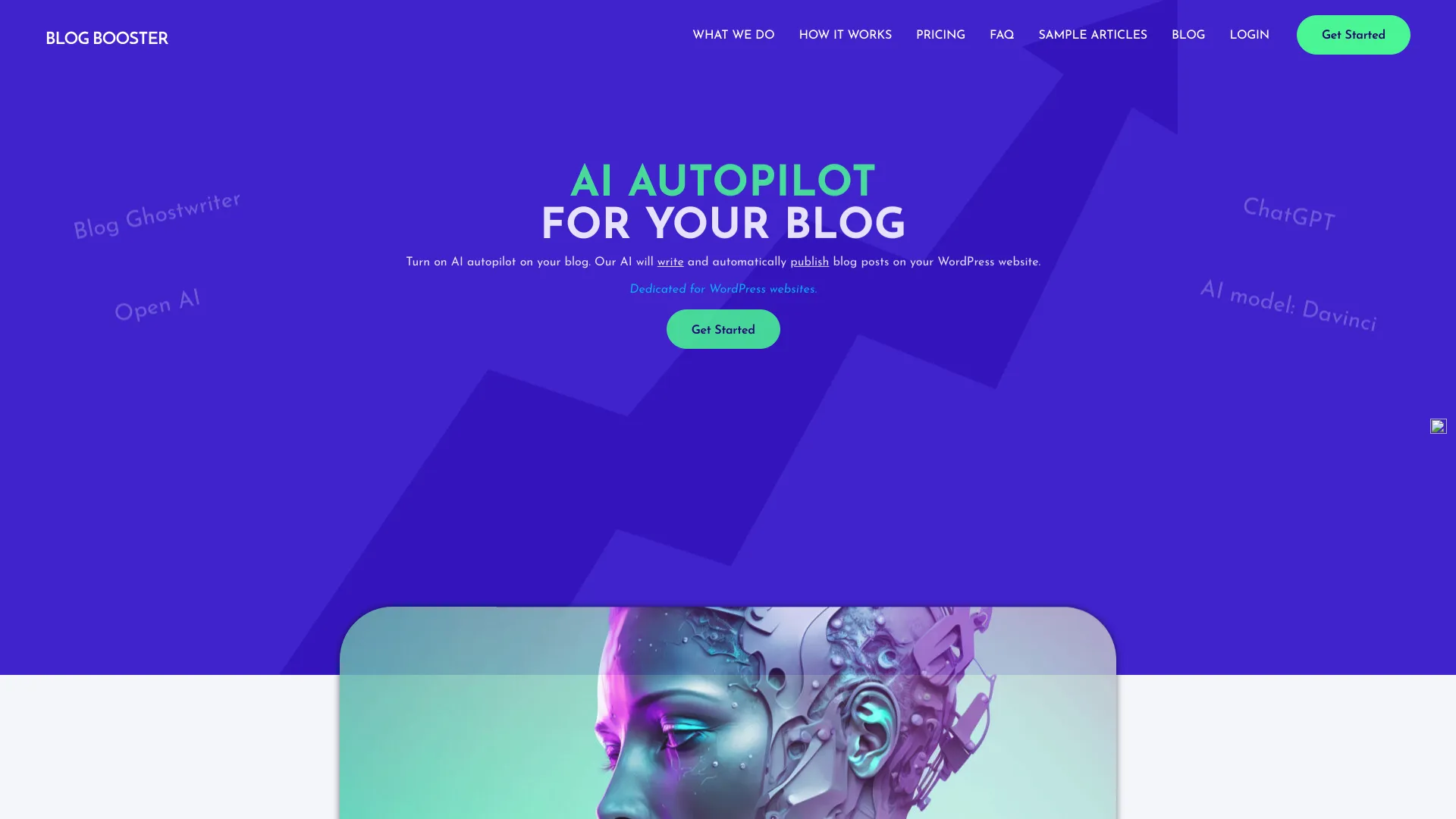 Blog BoosterAI screenshot