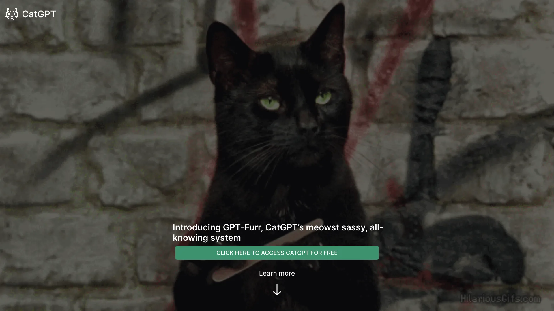 CatGPT screenshot