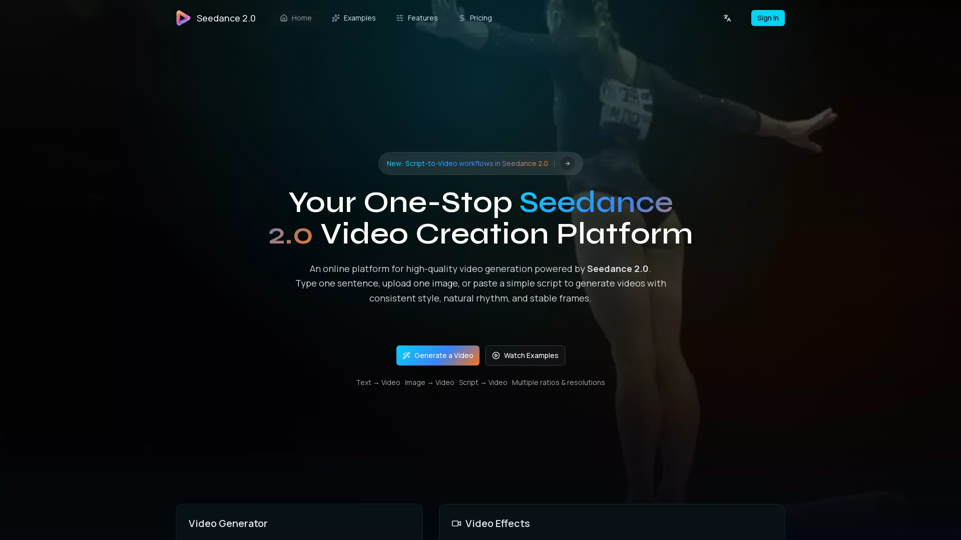 Seedance screenshot