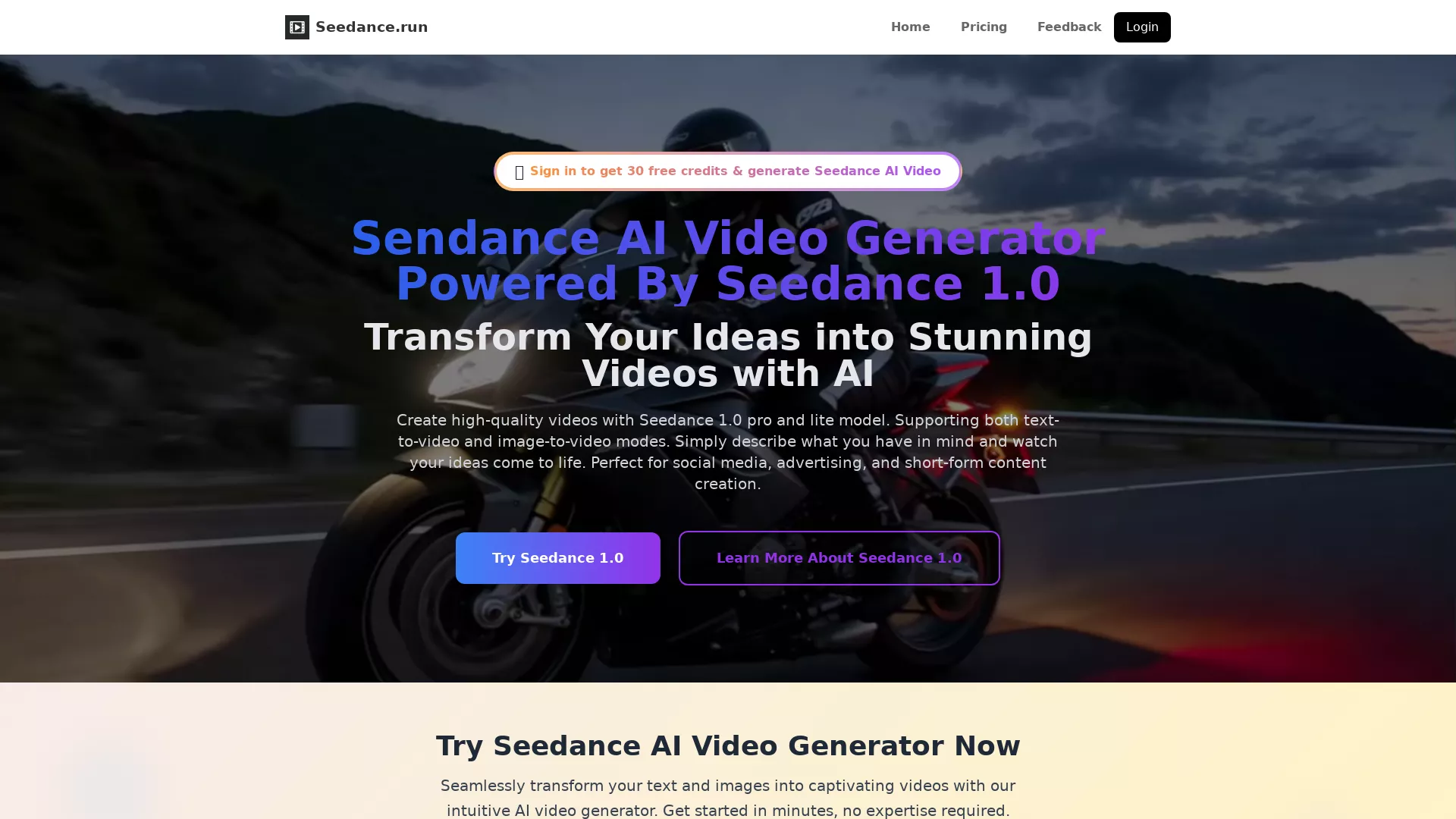 Seedance.run screenshot
