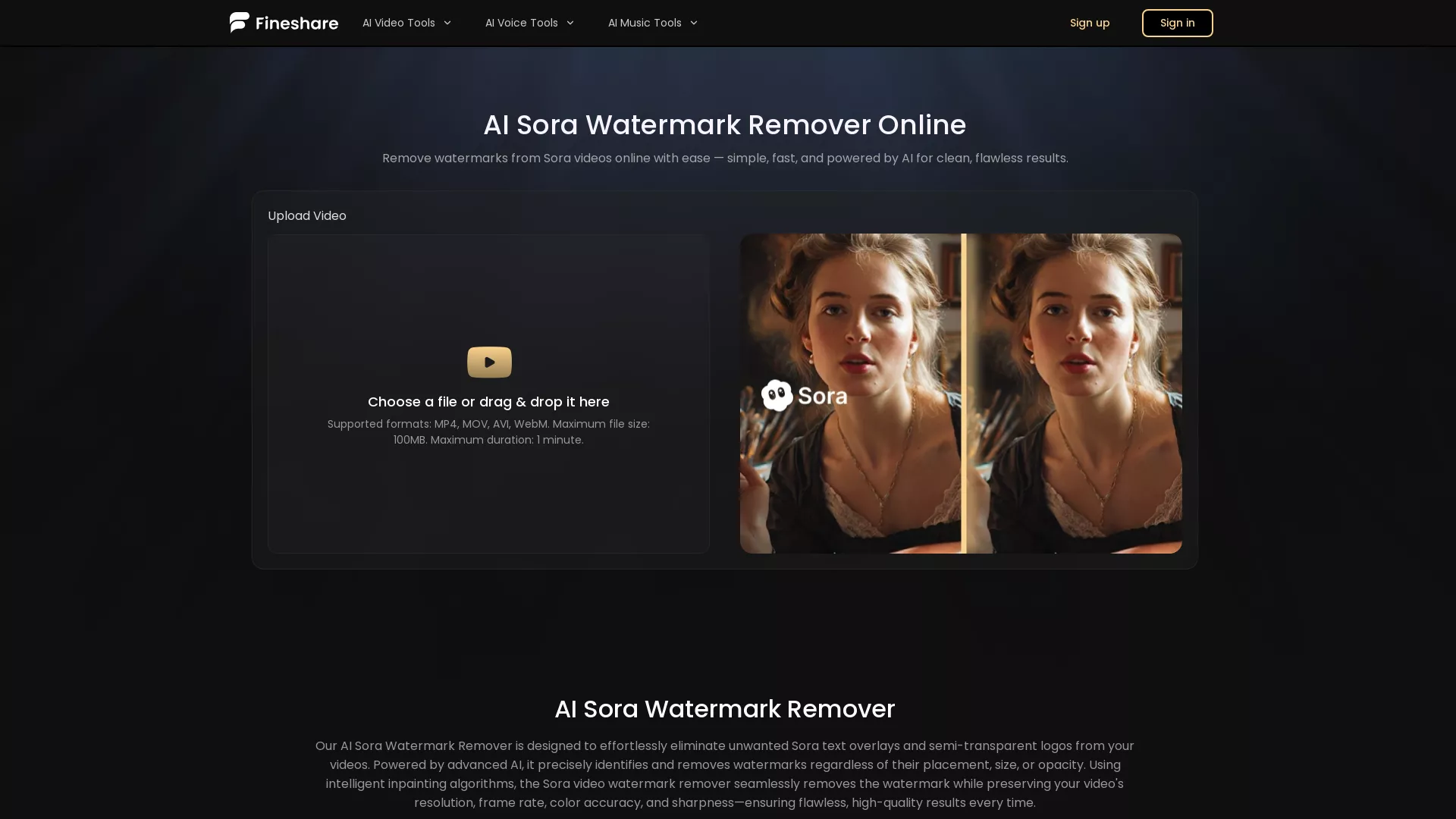AI Sora Watermark Remover screenshot