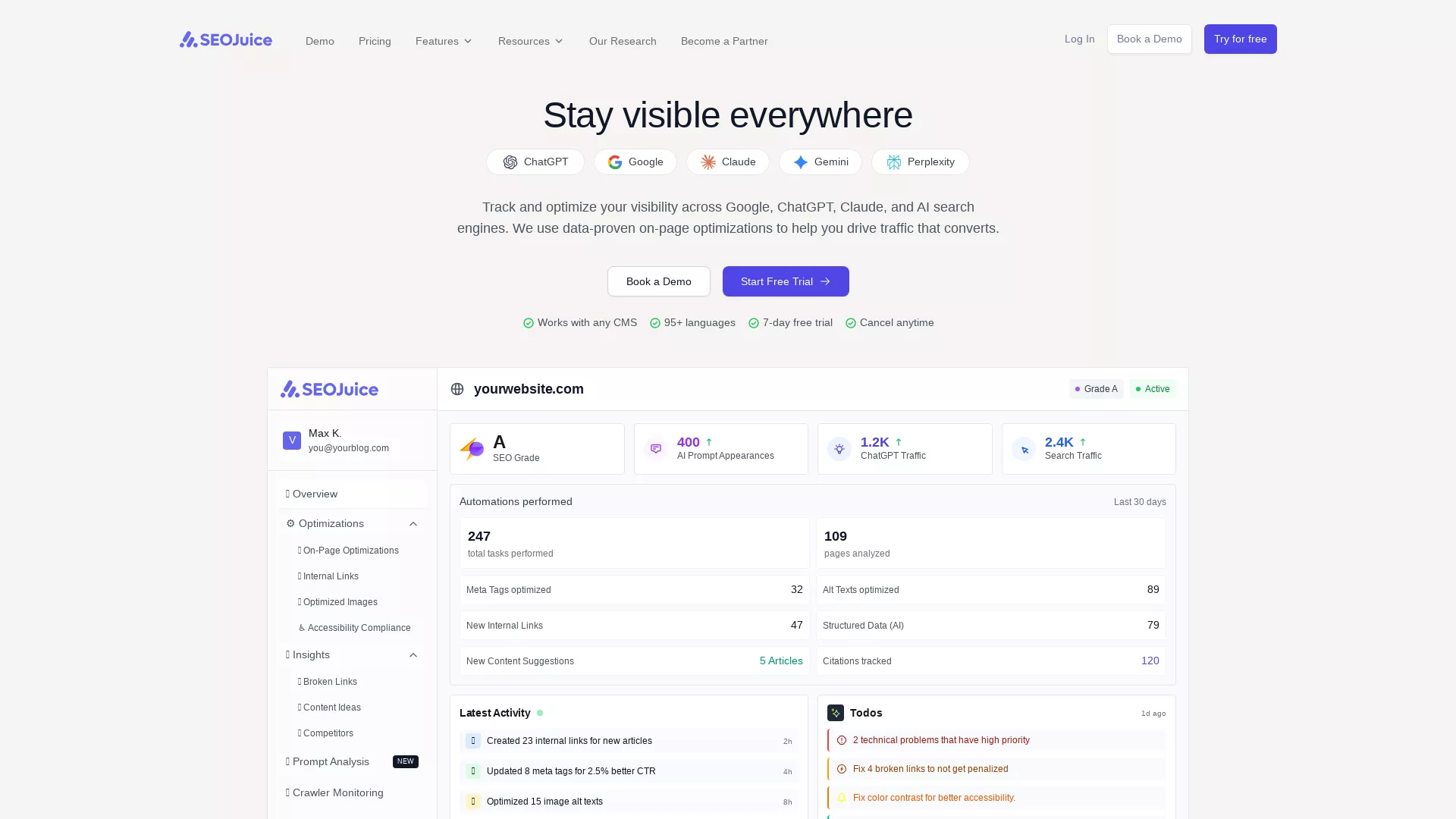 SEOJuice screenshot