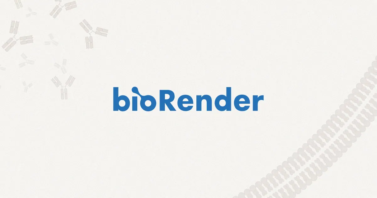 BioRender screenshot