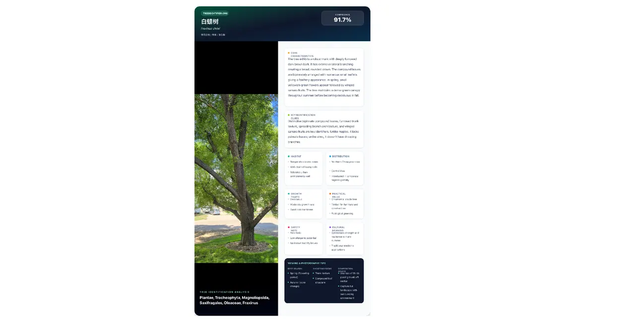 TreeIdentifier screenshot