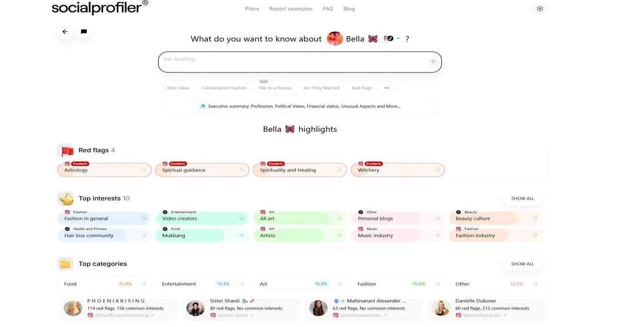 Socialprofiler screenshot