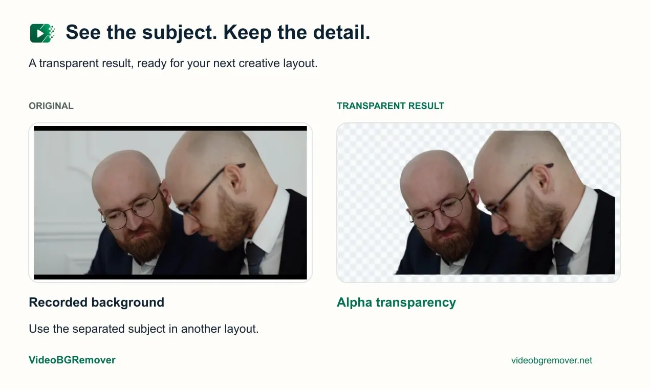 VideoBGRemover screenshot