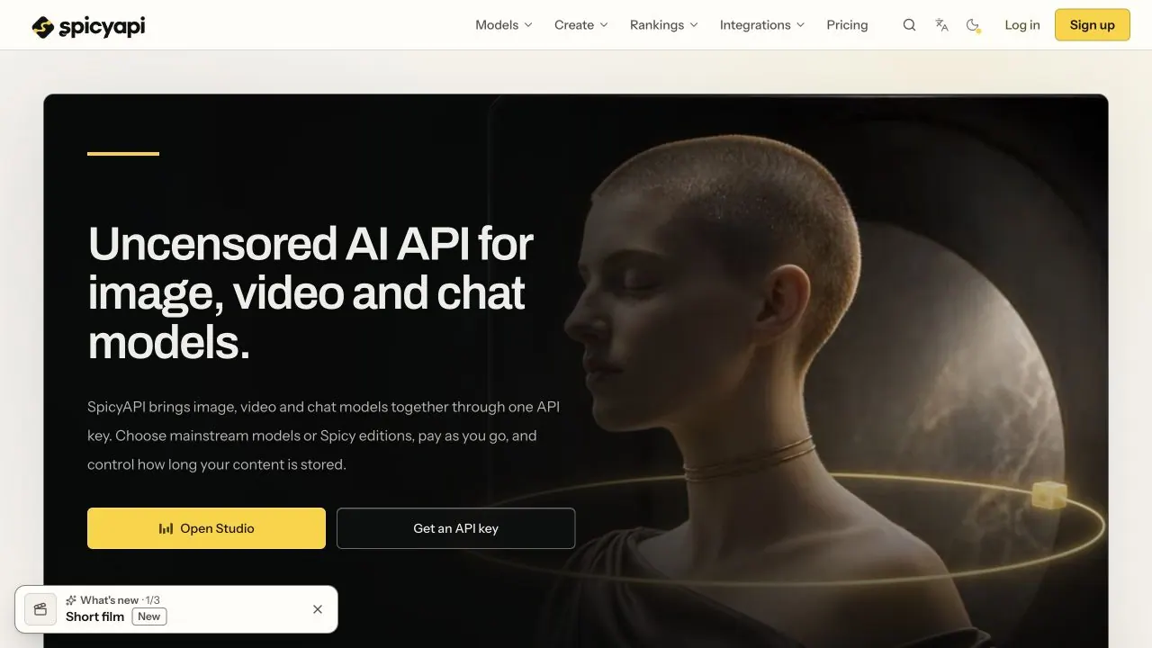 SpicyAPI screenshot