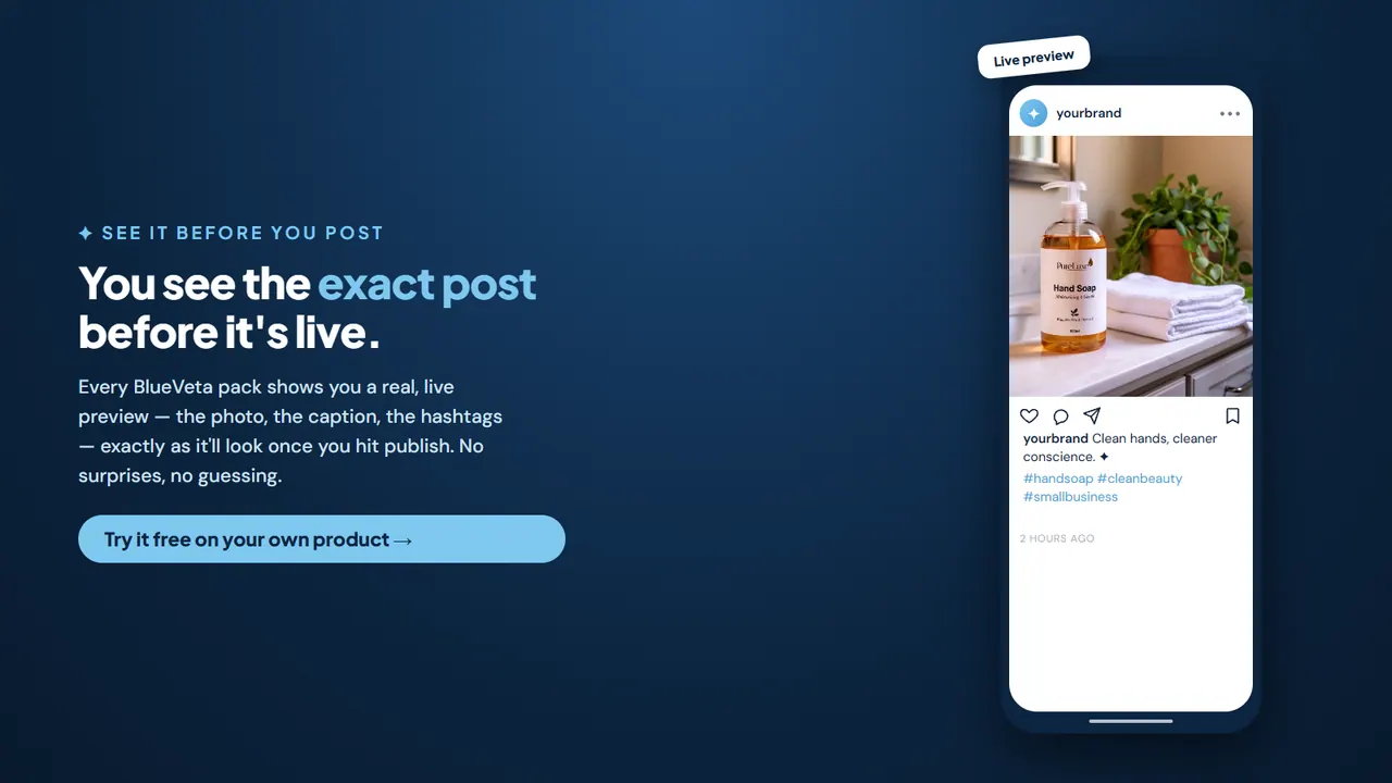 BlueVeta screenshot