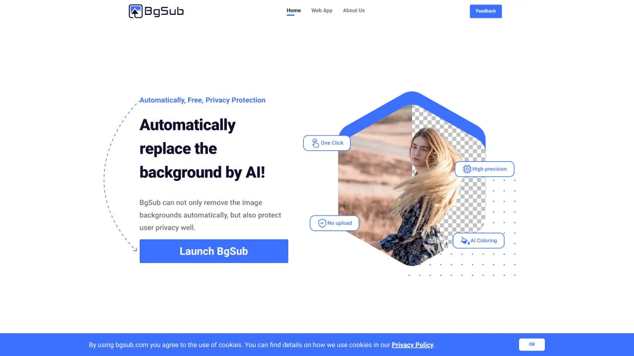 Bgsub screenshot