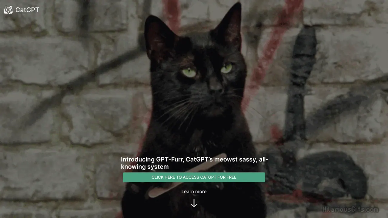 CatGPT screenshot