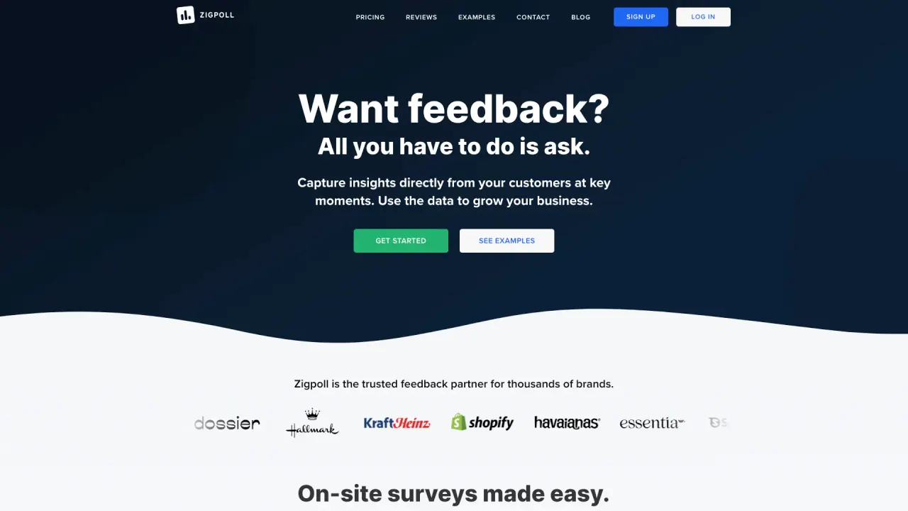 Zigpoll screenshot