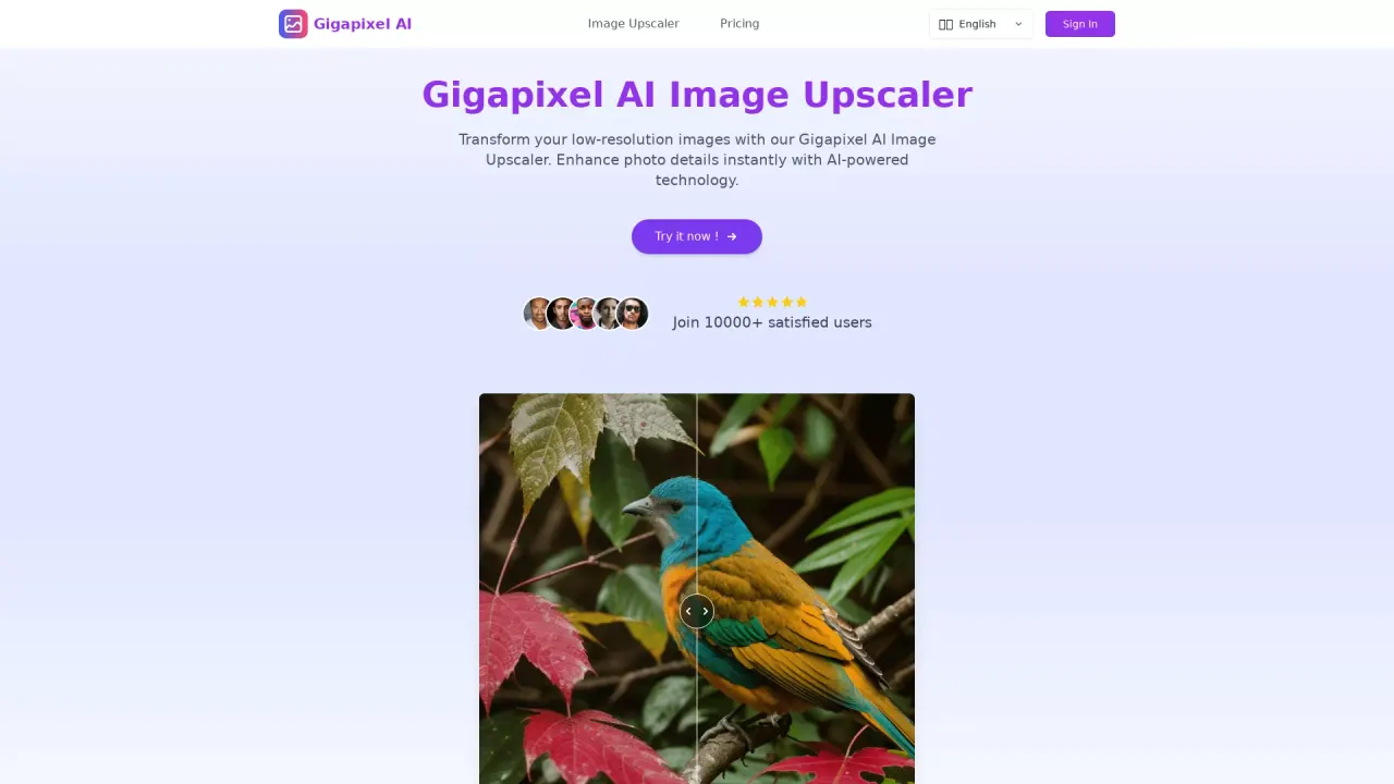 Gigapixel AI screenshot