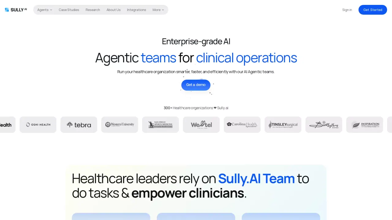 Sully AI screenshot