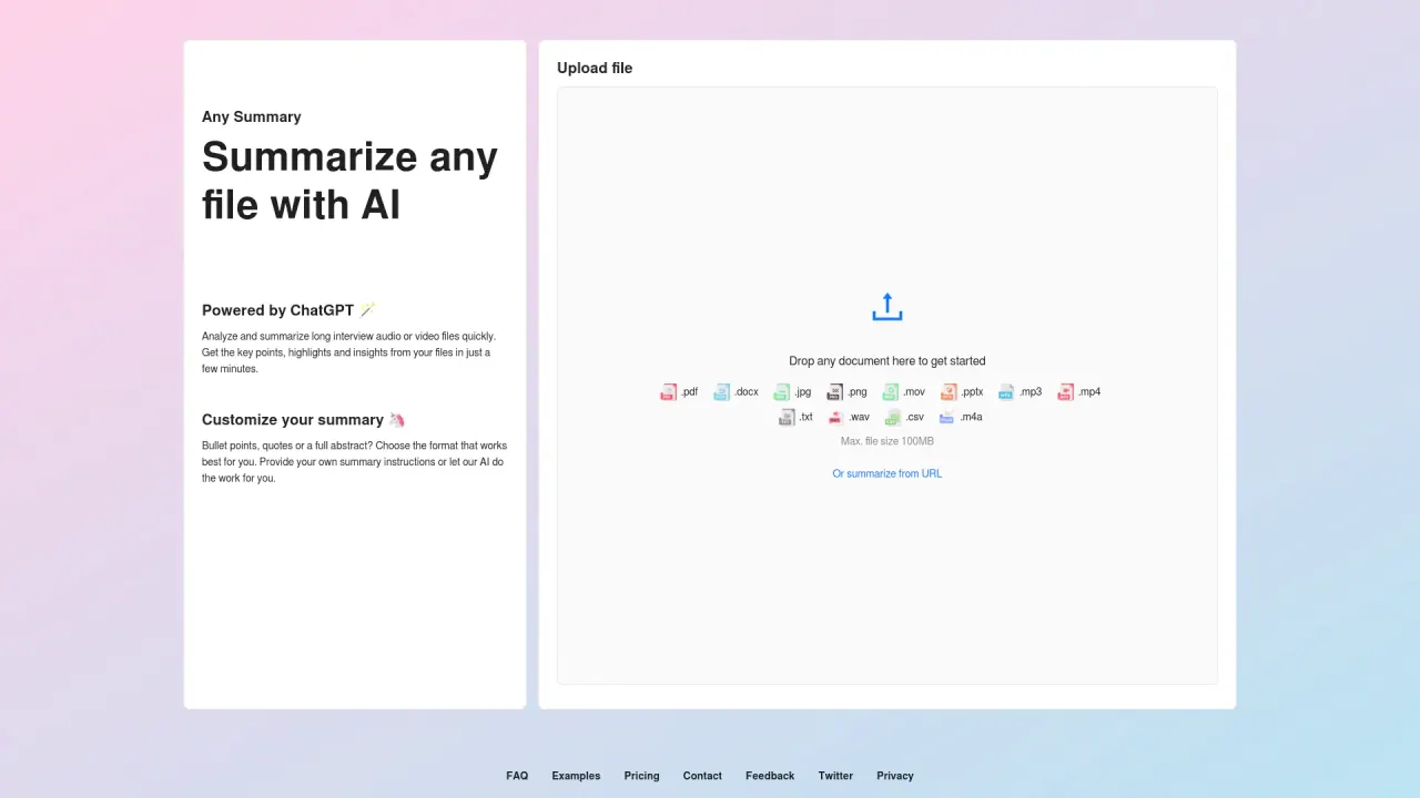 AnySummary screenshot