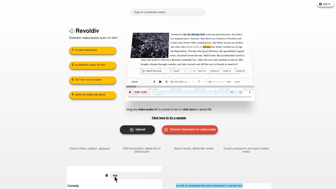 Revoldiv screenshot