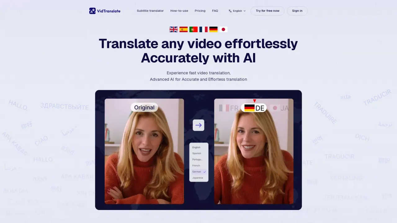 VidTranslate screenshot