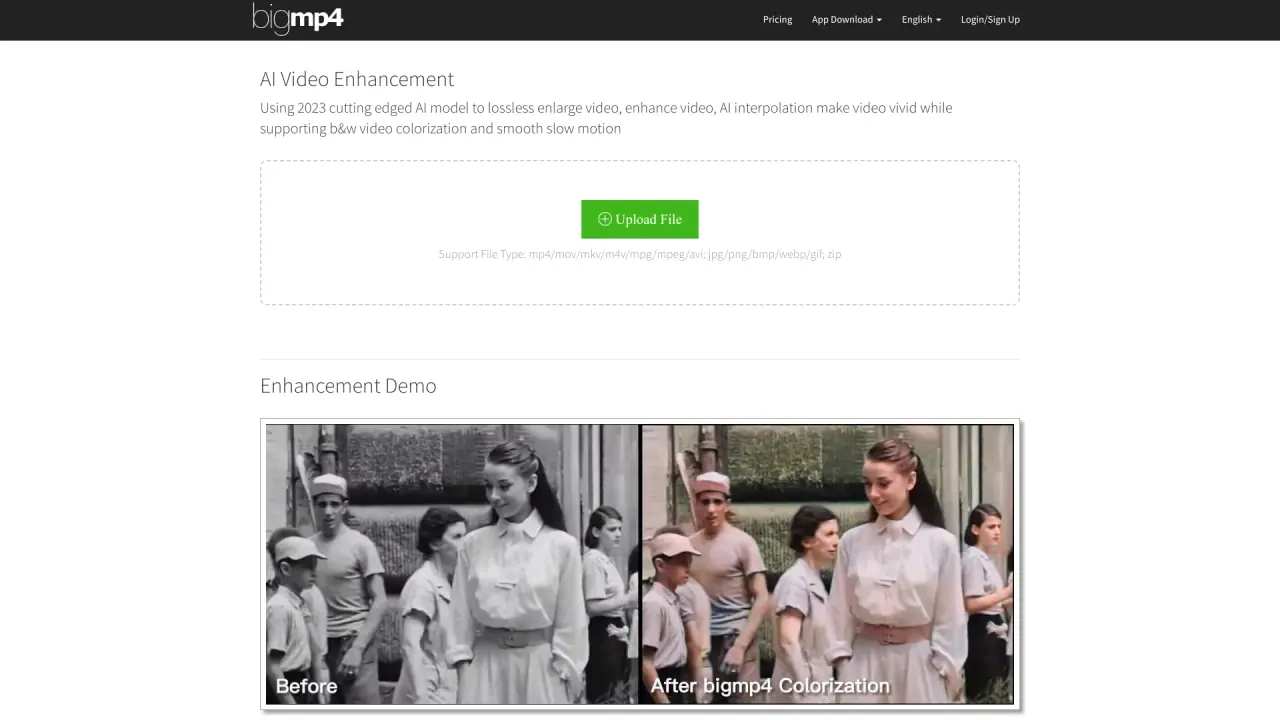 Bigmp4 screenshot