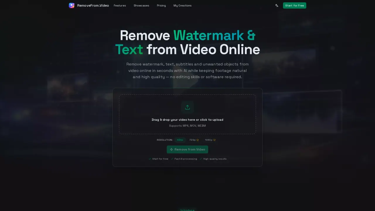 RemoveFrom.Video screenshot