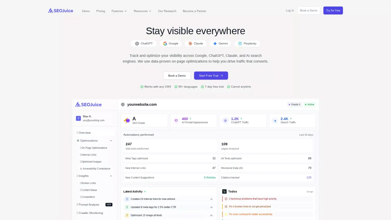 SEOJuice screenshot