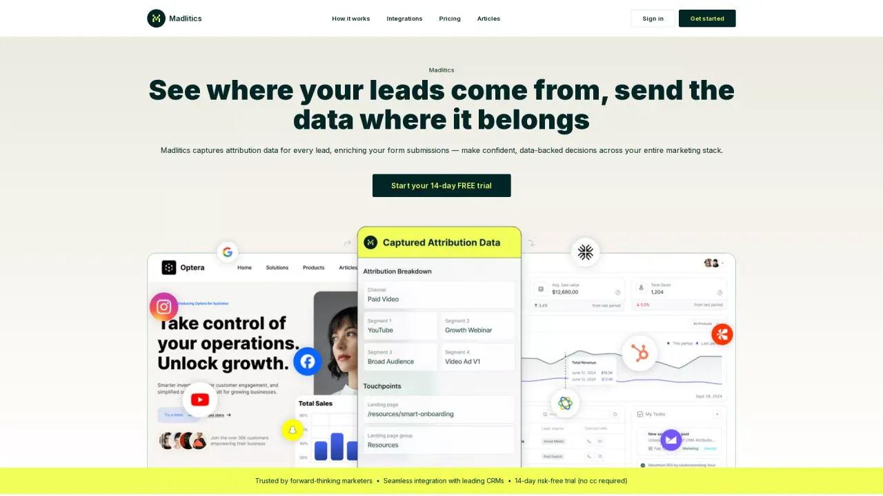 Madlitics screenshot